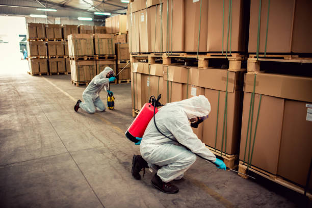 Best Pest Prevention Services  in Holly Hill, FL