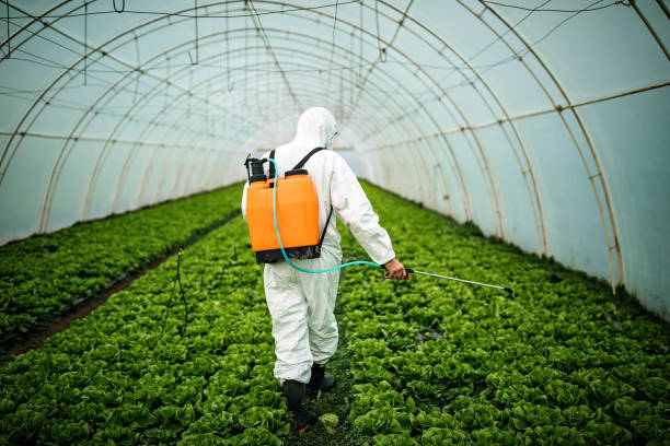 Best Best Pest Control Companies  in Holly Hill, FL